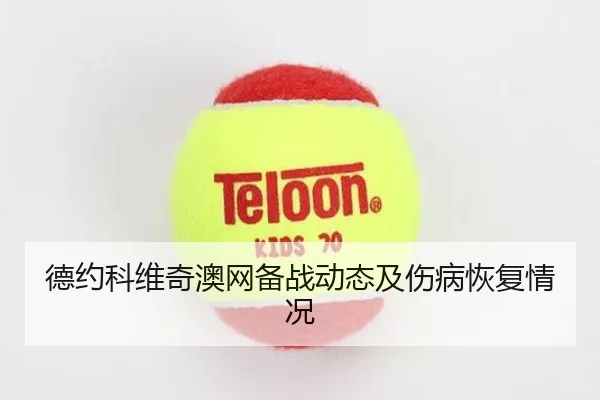 德约科维奇澳网备战动态及伤病恢复情况